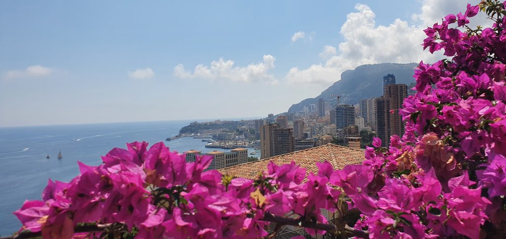 Blick auf Monaco