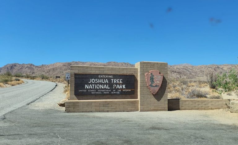 Joshua Tree Nationalpark